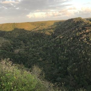 Meet your Posher, Maya